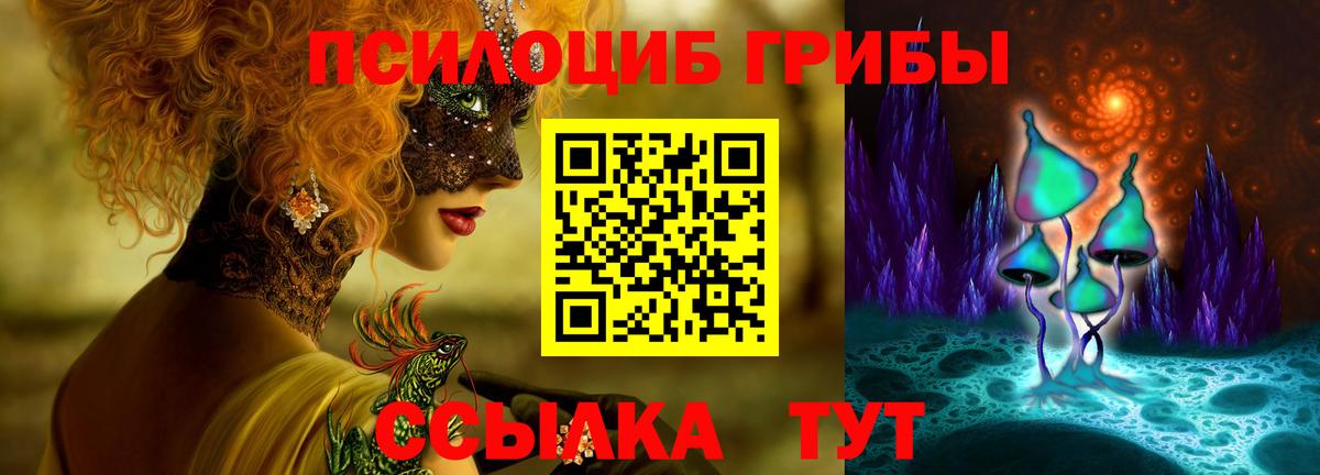 Заводоуковск  Галлюциногенные грибы ЛСД  Вход с VPN 