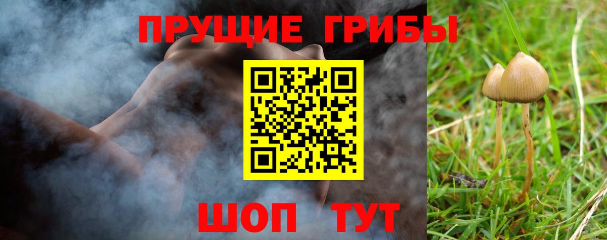 Псилоцибиновые грибы GOLDEN TEACHER Заводоуковск