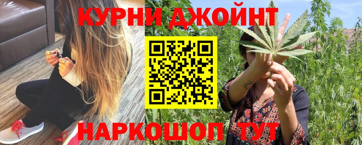 Конопля планчик  Каннабис план  Канабис OG Kush  Заводоуковск  Вход с VPN  Каннабис тримм 